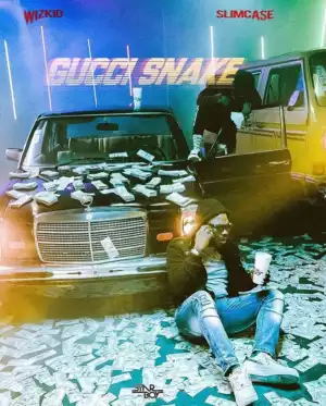 Wizkid - “Gucci Snake” (Full audio) ft. Slimcase